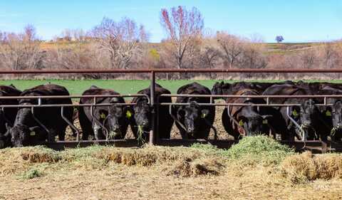 Tbd W Pioneer Road, Homedale, ID 83628