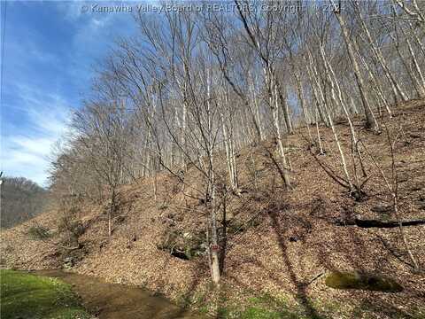 1154 Left Fork Lick Creek Road, Danville, WV 25053