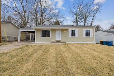 10430 Olney Drive, Saint Louis, MO 63136