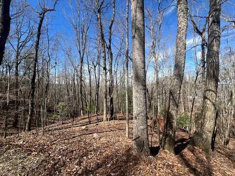 Lot 7 Mountain Drive, MURPHY, NC 28906