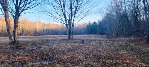 Lot 10.1 Breezy Hill Road, Liberty, NY 12758