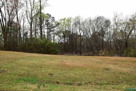 Lot 21 Cheyenne Drive, Southside, AL 35907