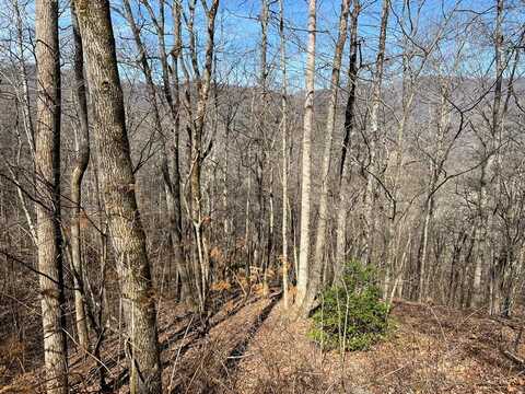 Lot 8 Black Bear Trail, Hiawassee, GA 30546