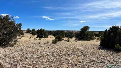 Cimarron Drive, Quemado, NM 87829