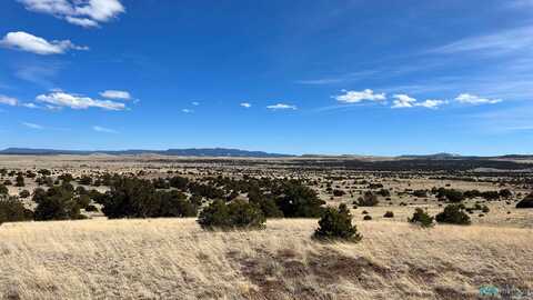 Cimarron Drive, Quemado, NM 87829