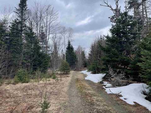 1085 Hines Place Trail, Walden, VT 05873