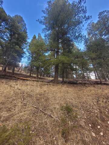 55 Enchanted Forest Ln, Cloudcroft, NM 88317