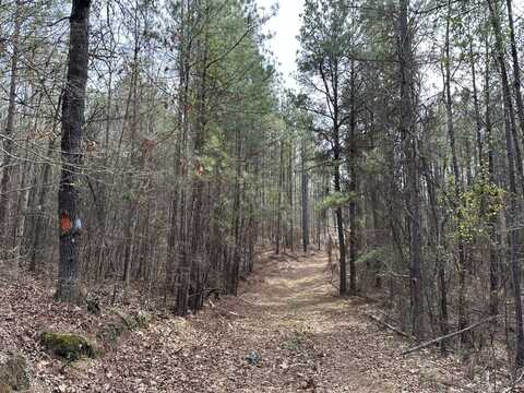 0 Gary Springs Loop, Centreville, AL 35042