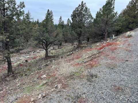 Unit 2 Lot 89 Juniper Peak, Weed, CA 96094