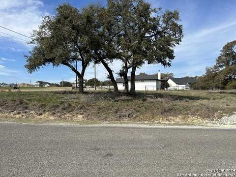 223 S Calvin Barrett, Blanco, TX 78606