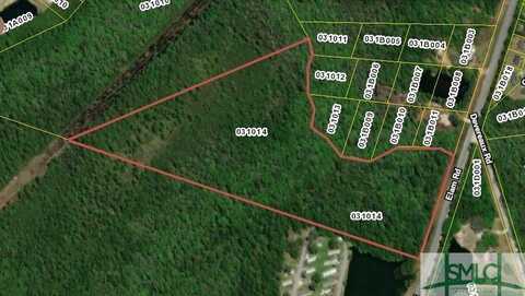 54.41 Ac Elim Church Road, Hinesville, GA 31313