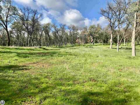 18340 Henry D Court, Sonora, CA 95370