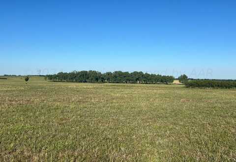 28.73 Acre US Hwy 83, Wellington, TX 79095