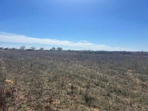 31.37 Acre TBD US Hwy 83, Wellington, TX 79095