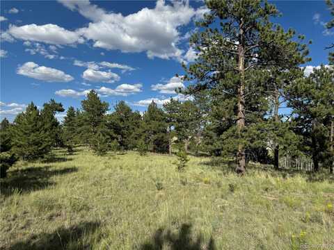 833 Angus Circle, Hartsel, CO 80449