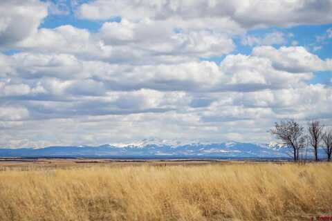 TBD Road BB, Pleasant View, CO 81331