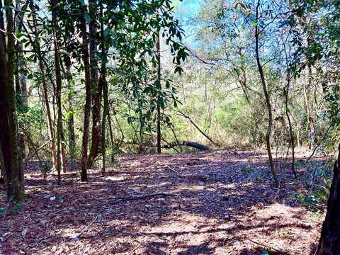 0 COUNTY ROAD 33 (Lot 8), Headland, AL 36345