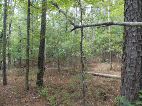 60 LBK CIRCLE, Tignall, GA 30668