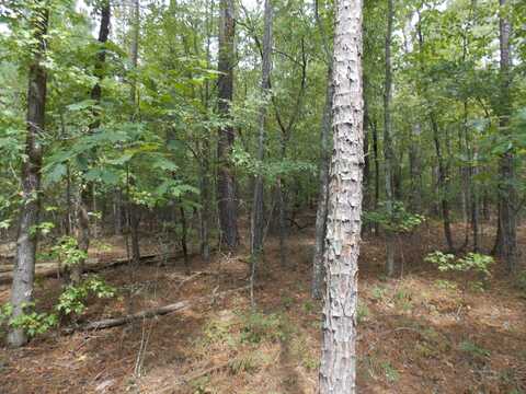 35 LBK CIRCLE, Tignall, GA 30668