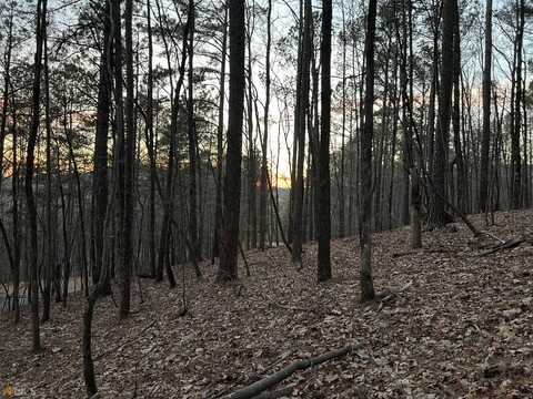 0 Lot 765 Plum Lane, Clarkesville, GA 30523