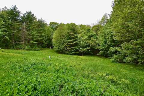 10 Hastings Road, Waitsfield, VT 05673