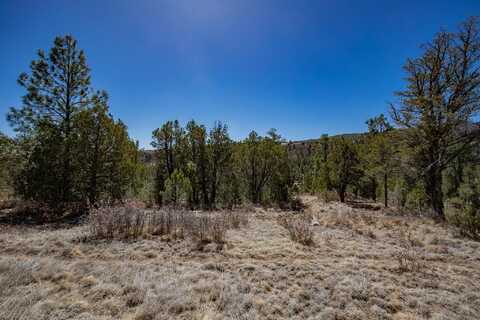 28 Milky Way, Mayhill, NM 88339