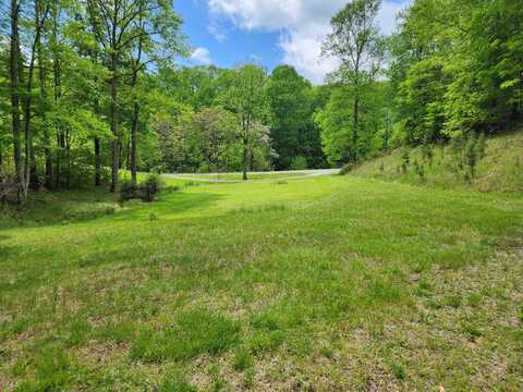 533 Coopers Cove RD, Hardy, VA 24101