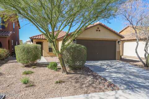 9534 Desert Fauna Loop, Tucson, AZ 85747