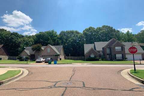 Yarrow, ARLINGTON, TN 38002