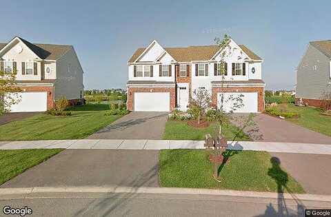 White Pine, PLAINFIELD, IL 60585