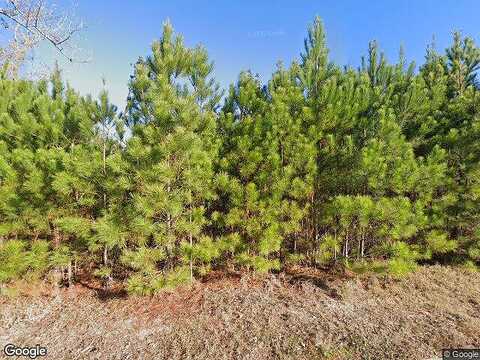 Camellia, ALBANY, GA 31705