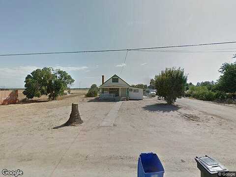 Muscat, REEDLEY, CA 93654