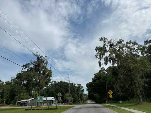 Pine, BRONSON, FL 32621