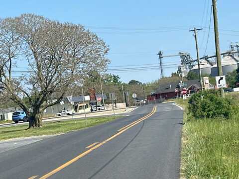 Gum Tree, FRANKFORD, DE 19945