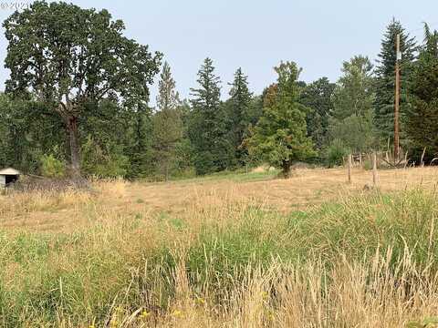 Wildcat Mountain, EAGLE CREEK, OR 97022