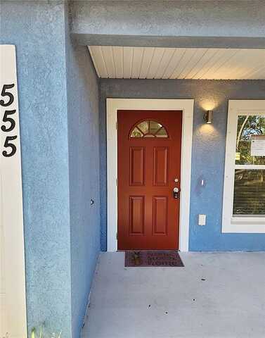 Pine, SAFETY HARBOR, FL 34695