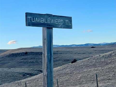 9 Tumbleweed Trail, Livingston, MT 59047