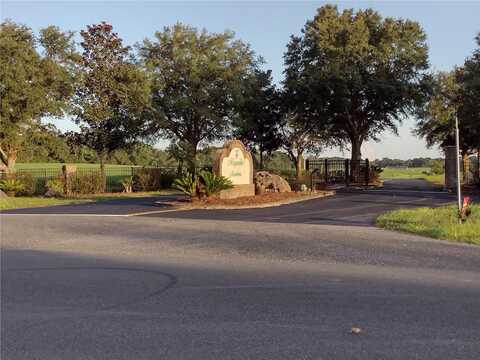 Lot 21 NW 31ST AVENUE, BELL, FL 32619