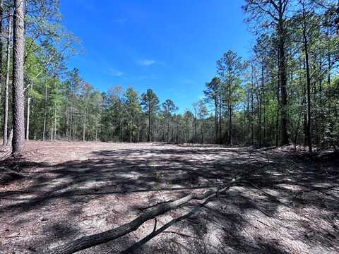 619 Lakeside Dr, Carriere, MS 39426