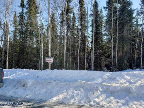 Tr A1 Landess Avenue, Sterling, AK 99672