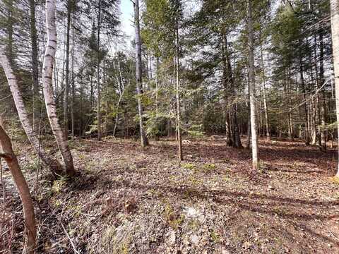 6 Lots Off Arbutus Dr & Rutherford Rd, Cheboygan, MI 49721