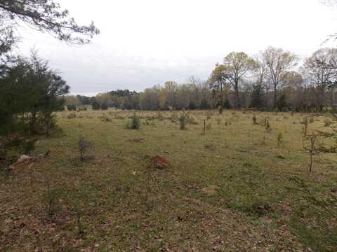 378 378 HWY, Washington, GA 30673