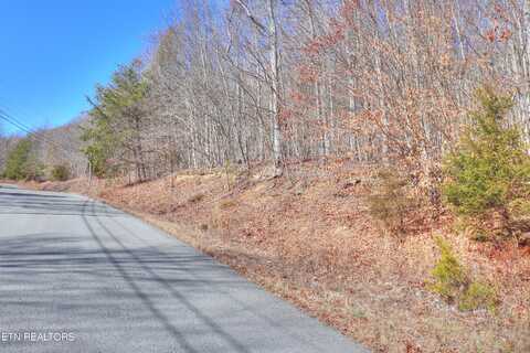 Lot 139 Whistle Valley Rd, New Tazewell, TN 37825