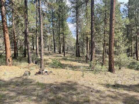 TL 0500 Tableland, Sprague River, OR 97639