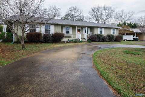 3008 Julie Drive, Scottsboro, AL 35769