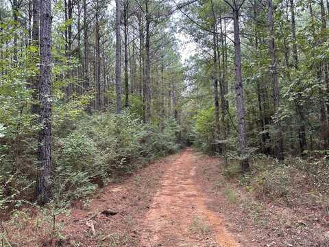 0 Quarter-Mile north of Petty Road, Bastrop, LA 71220