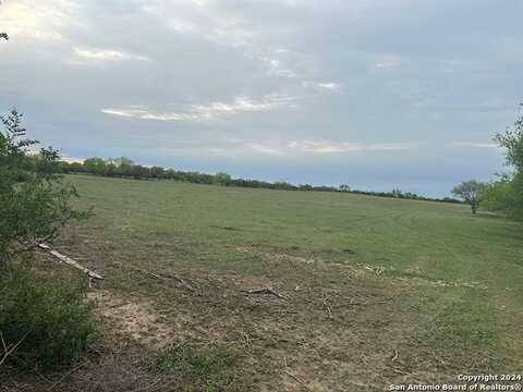 CR 426, Pleasanton, TX 78064