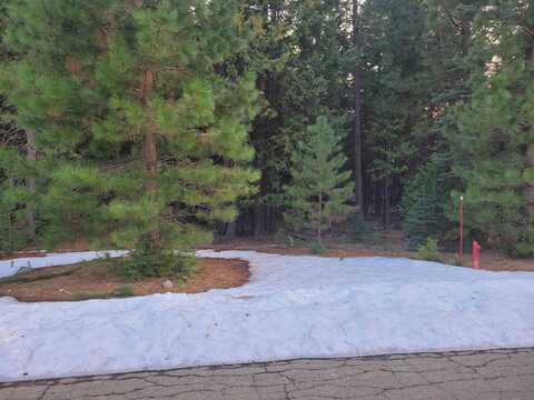 Lot #7 Nehemiah Dr., Shingletown, CA 96088