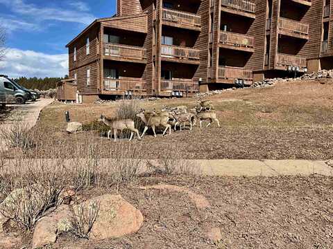 10 Valley Rd, Angel Fire, NM 87710