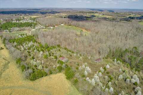 South Judkins Ln, SMITHVILLE, TN 37166